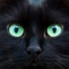 avatar Marguerite P.<