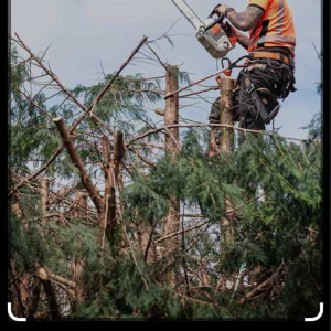 Jayson R. (Robert.SEV)