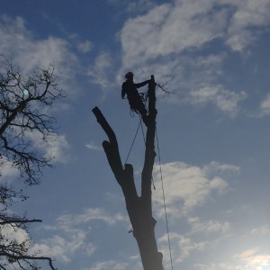 Valentin P. (pacaud Valentin)