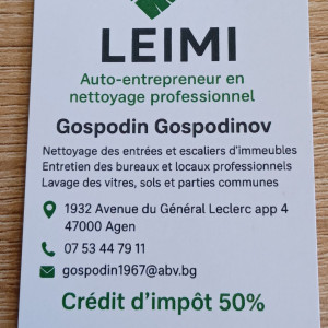 Gospodin G. (Leimi)