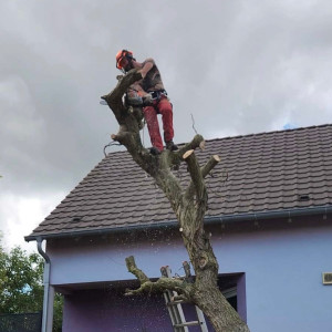 Lucas M. (LM Bois 67)