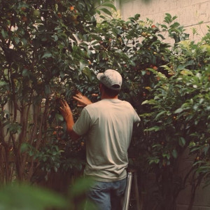 Guillaume H. (Inspira jardin)