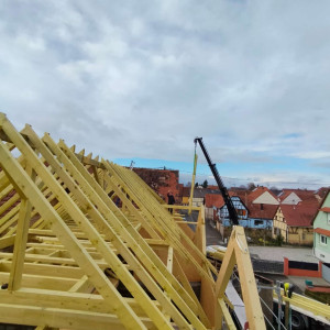 Alexandre D. (DAPP CHARPENTE)