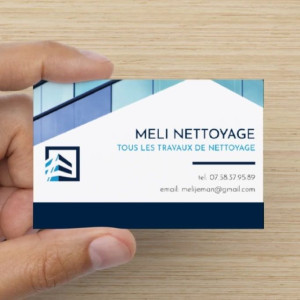 Meli A. (Meli Nettoyage)