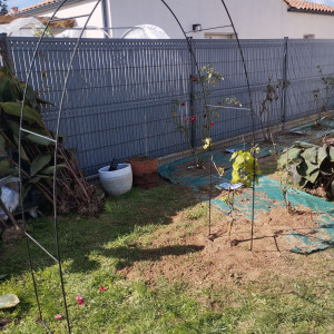 Jean D. (Dubois Jean)