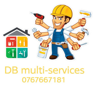 Damien B. (Dbmulti-services)