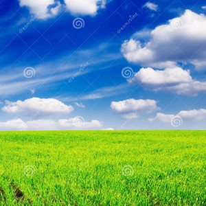 Ismael D. (Dao Service)