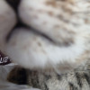 avatar Lucrèce G.<