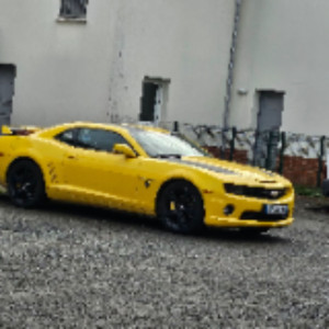 Louis D. (Aquitaine Auto)