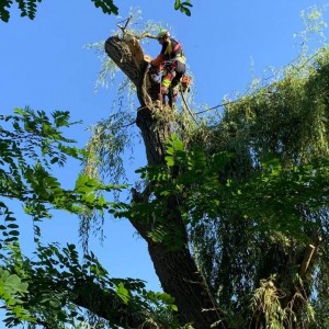 Gaétan B. (bonnin Gaétan)