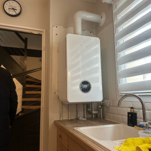 Nelson S. (Sn Servives)