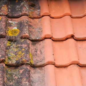 Tayleur M. (MT Rénovation)