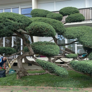 Jordan G. (KLA PAYSAGE)