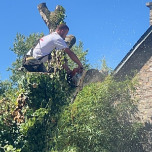 Newton C. (Chatelain)