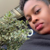 avatar Sheambelly F.<