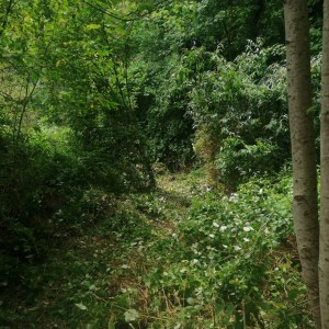 David D. (Davidservices)