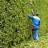 Ringo