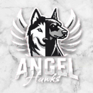 Angelica S. (angel & compagnie)