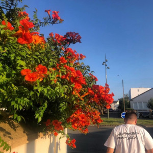 Mathias H. (MH Services)