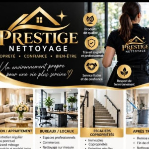 Nettoyage P. (Prestige Nettoyage)
