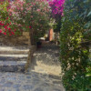 avatar Abdelhadi S.<