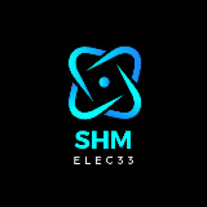 Vivien T. (SHM Elec33)