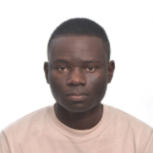 Mohamadi Z. (Mohamadi Zongo Freelance)
