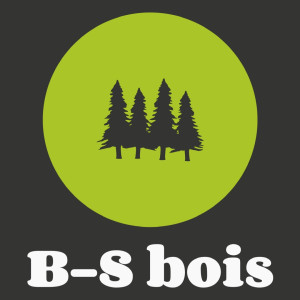 Benoit S. (B-S bois)