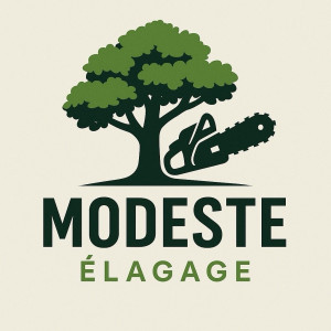 Noah D. (Modeste Elagage)