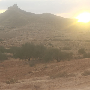Malek A.