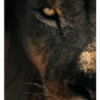 avatar Franck K.<