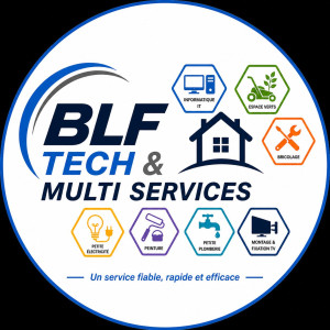 Brice L. (BLF TECH & MULTI SERVICES)