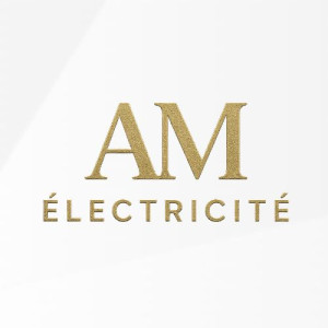 Antony M. (AM électricité)