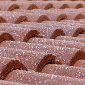 Bruno R. (RB.RÉNOVATION)