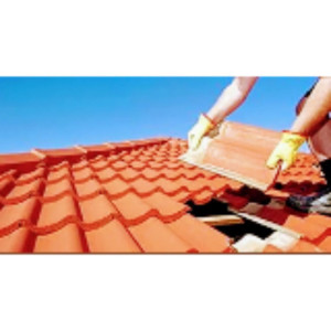 Haryl H. (Couverture halnais)