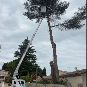 Pierre Stivie G. (Elageur Professionne...