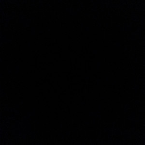 Angelique T. (Angélique TMZ)