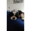 avatar Marilyne G.<