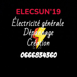 Pierre D. (Elecsun)