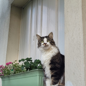 Sandra D.