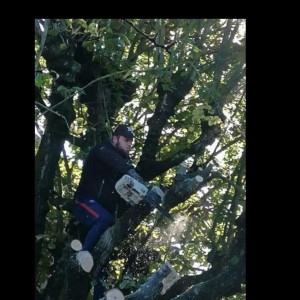 Sonny D. (entreprise dassonville5)