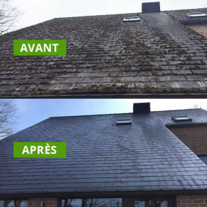 Onesime T. (M Thiphineau)