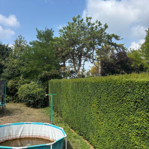 Lucas B. (Lucas Beauvois)