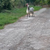 avatar Maxime I.<