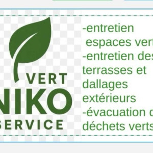 Nicolas J. (Vert Niko service)