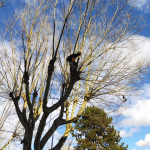 Maxime G. (Grange Maxime)