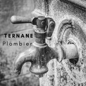 El Amine T. (ternane amine)