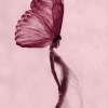 avatar Rim B.<