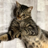 avatar Maëva D.<