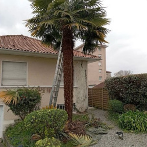 David A. (AD Services)